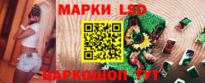 стаф Шелехов