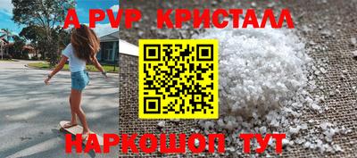 стаф Шелехов
