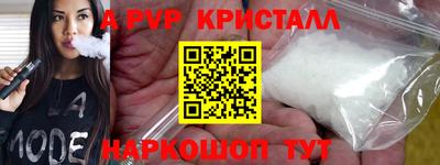 стаф Шелехов