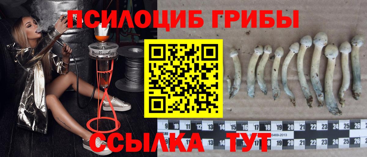 Галлюциногенные грибы Psilocybine cubensis  Вход с VPN  наркошоп  Бахчисарай 