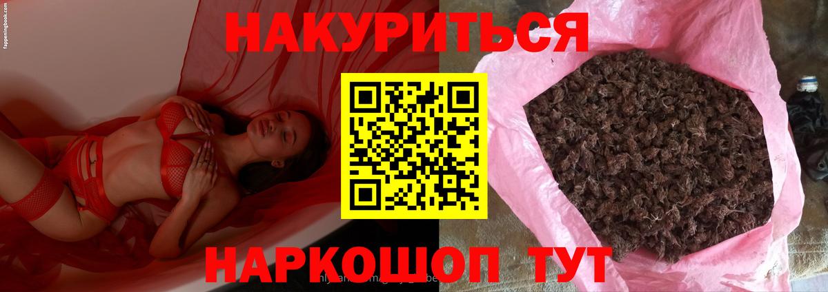 Конопля планчик Бахчисарай